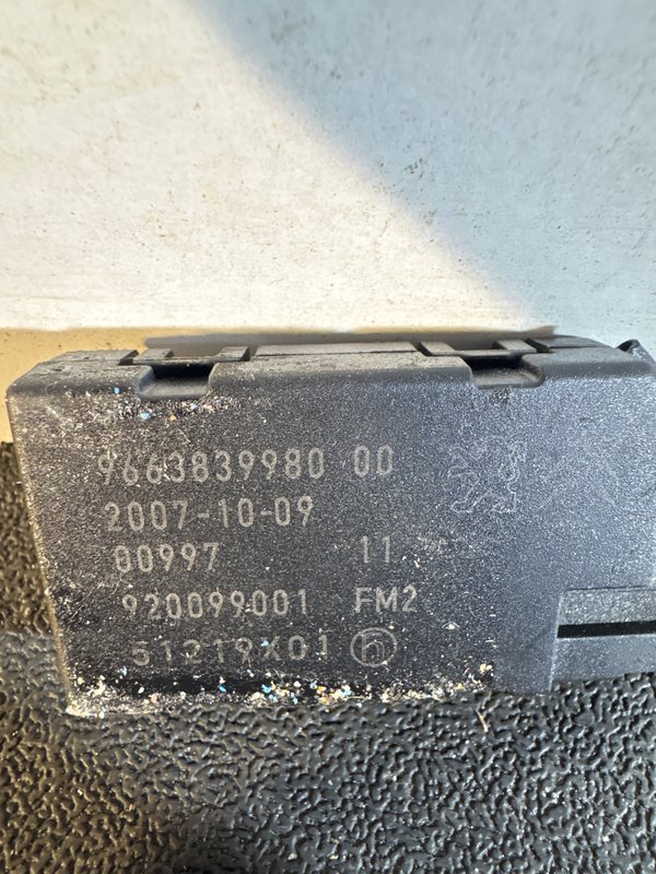 Amplificador de Antena PSA 966383998000