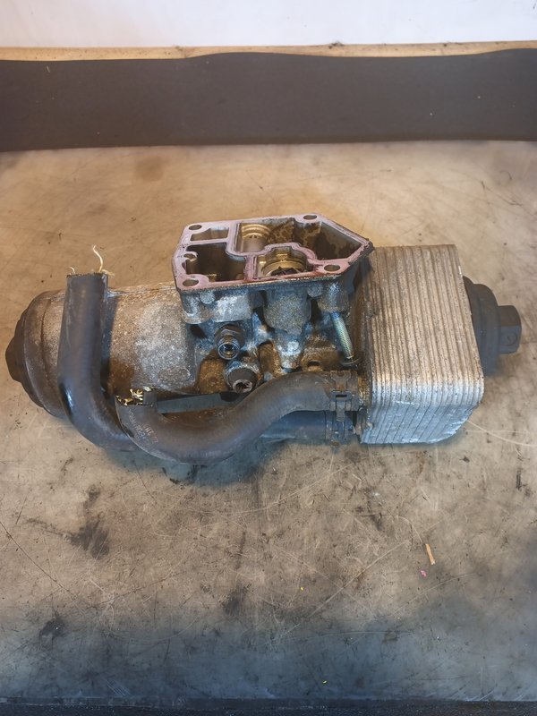 Corpo de Oleo VAG 2.0 TDI 045115389E