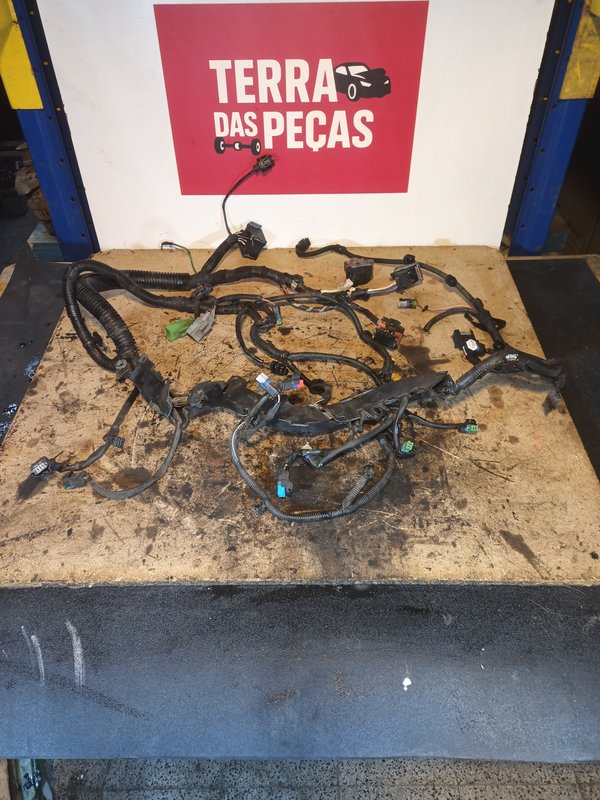 Instalacao do Motor Ford/PSA 2.0 TDCI/HDI PSA 2.0 RH01