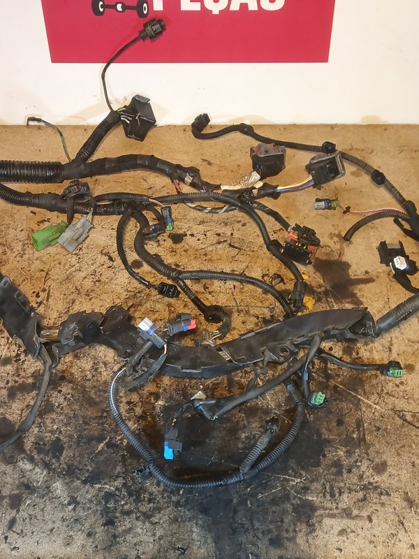 Instalacao do Motor Ford/PSA 2.0 TDCI/HDI PSA 2.0 RH01
