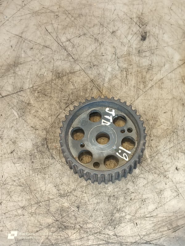 Polia da Cames Fiat 1.9 JTD 46759343