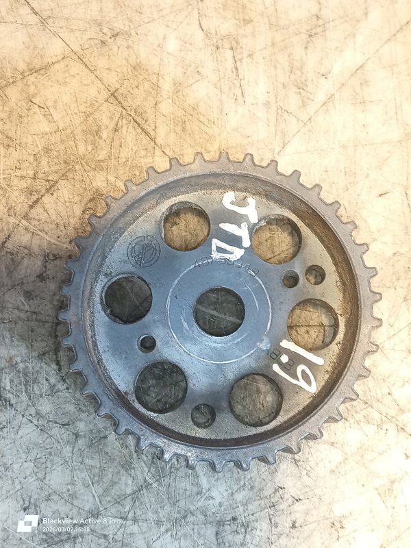 Polia da Cames Fiat 1.9 JTD 46759343