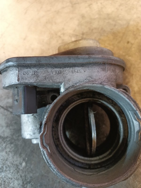 Borboleta Admissao VAG 1.9 TDI 038128063G