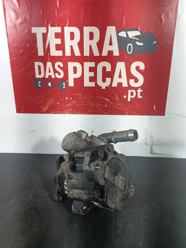 Bomba Direccao Assistida Grupo Renault 8200193992