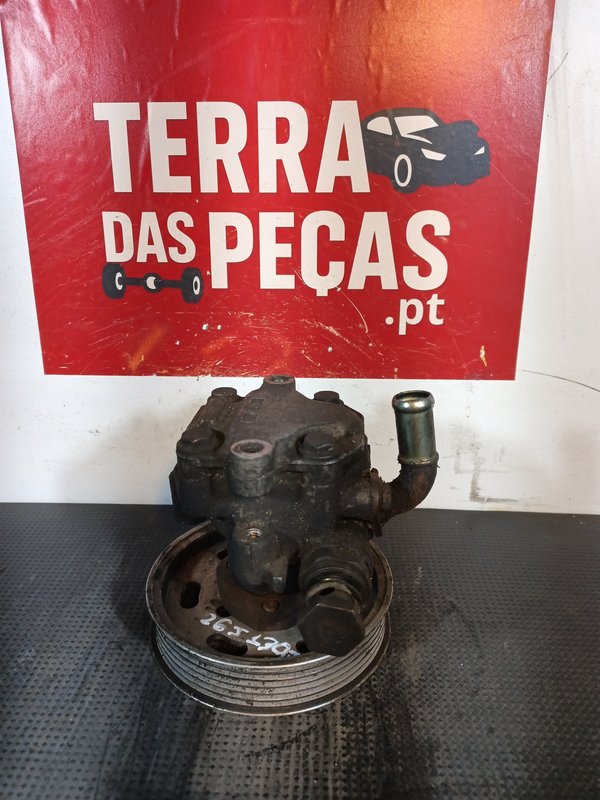 Bomba Direccao Assistida Grupo VAG 1.9 TDI 98VW3AG74AA