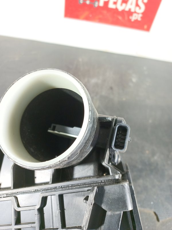 Caixa Filtro Ar RENAULT MEGANE IV 165007121RD