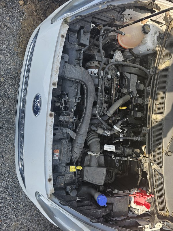Frente Ford KA+ 2019