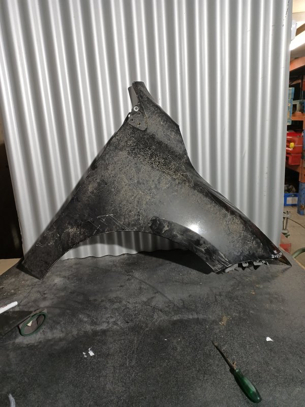 Guarda Lamas Renault Megane III DIREITO Preto