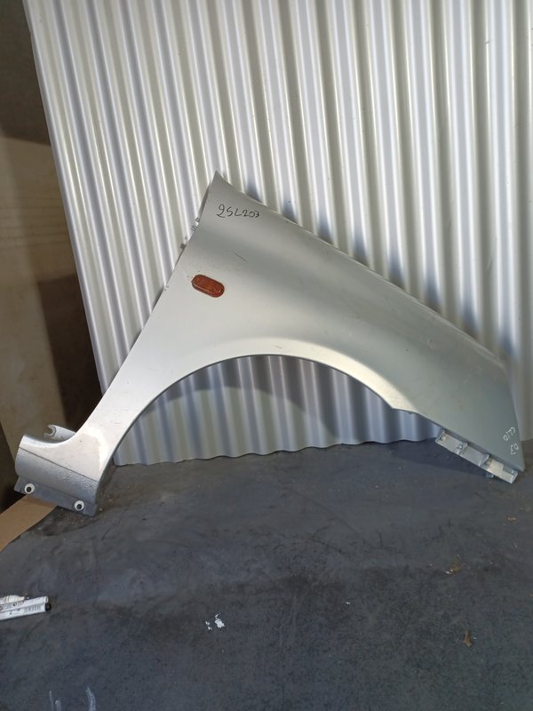 Guarda Lamas Renault Clio II DIREITO Cinza F2