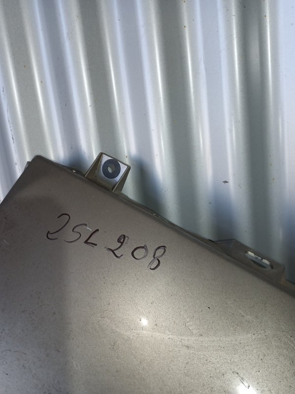 Guarda Lamas Renault Scenic III DIREITO 631000970R Cinza