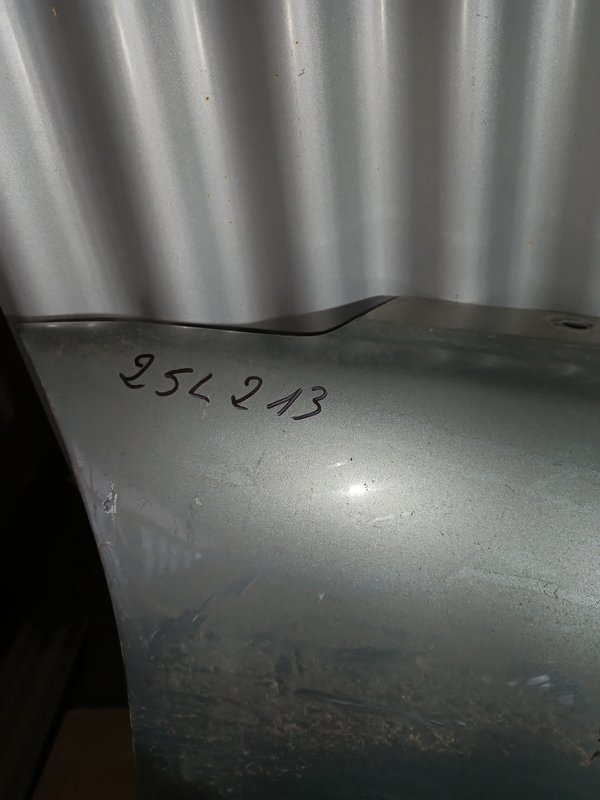 Guarda Lamas Renault Laguna I DIREITO Cinza