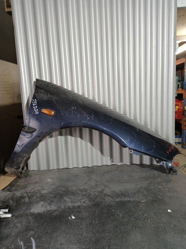 Guarda Lamas Mitsubishi Carisma DIREITO Azul Escuro