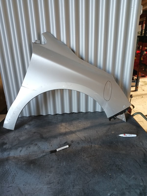 Guarda Lamas Citroen C4 II DIREITO cinza