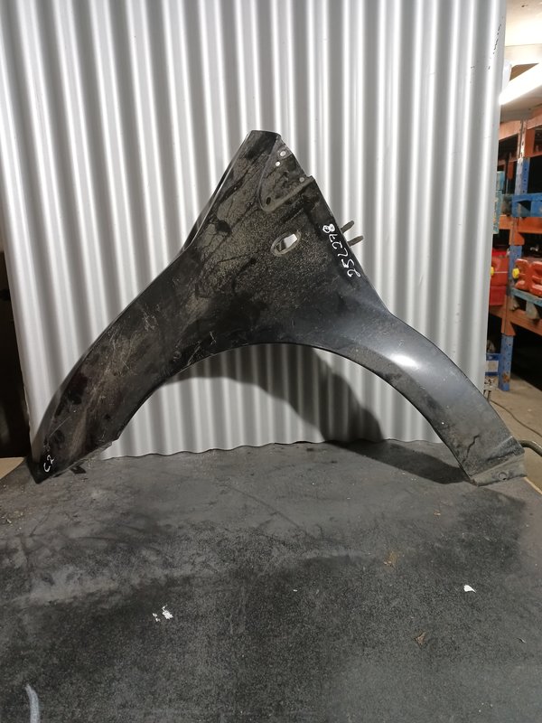 Guarda Lamas Citroen C2 ESQUERDO Preto