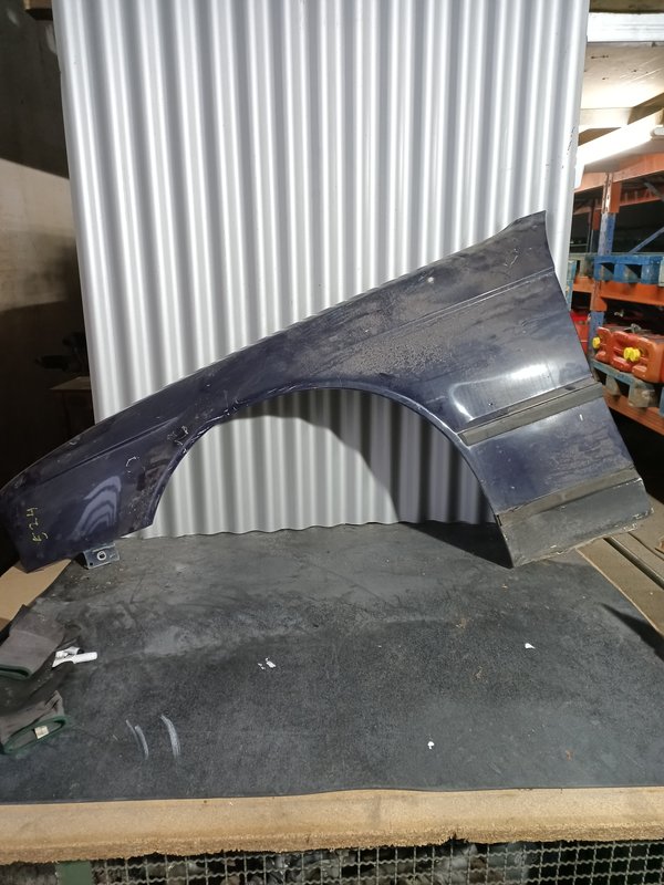 Guarda Lamas BMW Serie 5 E34 ESQUERDO Azul Escuro
