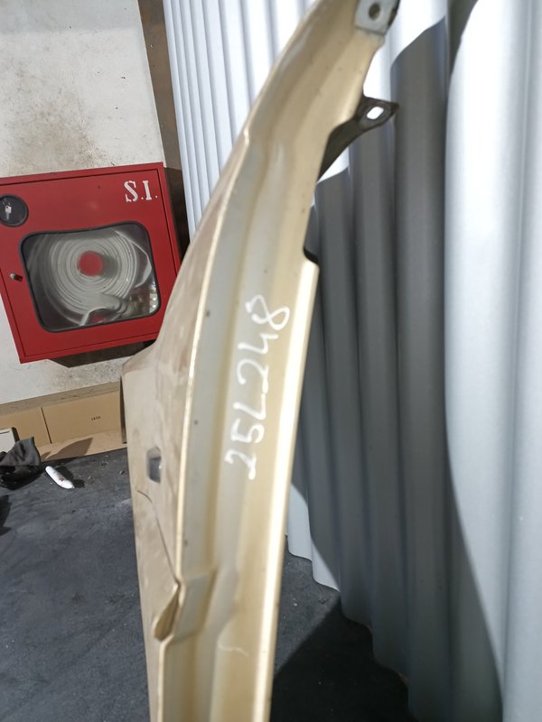 Guarda Lamas BMW Serie 3 E46 Coupe ESQUERDO Dourado