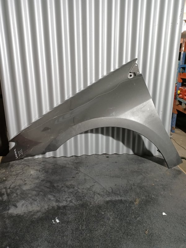 Guarda Lamas Renault Laguna III ESQUERDO Cinzento