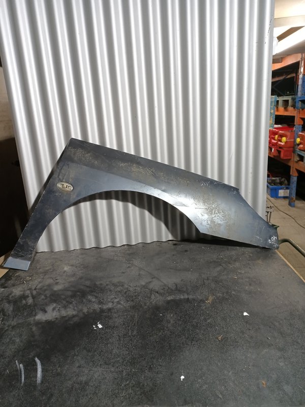 Guarda Lamas Peugeot 407 DIREITO Cinzento