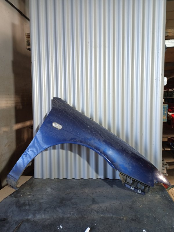 Guarda Lamas Seat Toledo II 1M DIREITO Azul