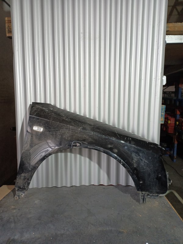 Guarda Lamas Audi A4 III B7 DIREITO Preto