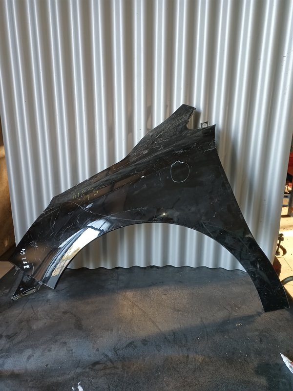Guarda Lamas Citroen C4 II ESQUERDO Preto