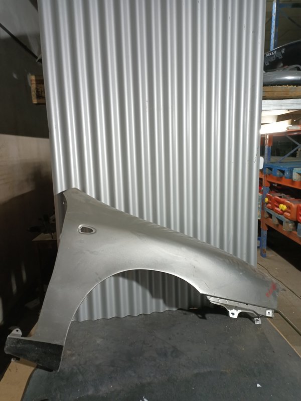 Guarda Lamas Fiat Bravo/Brava DIREITO Cinza