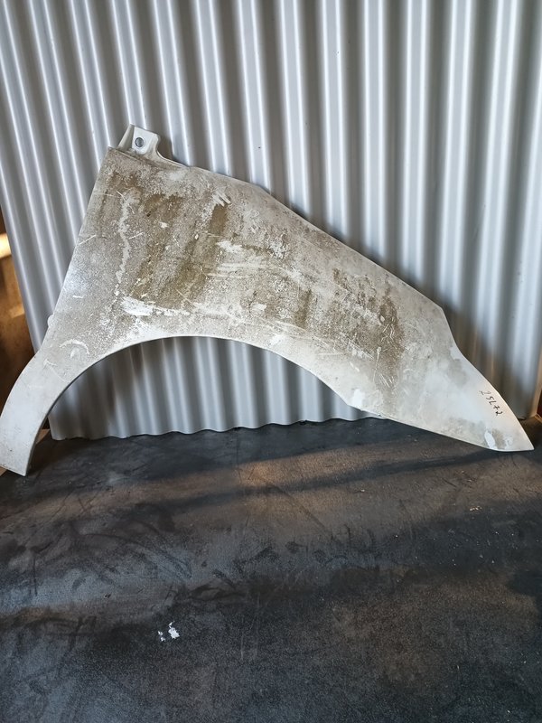 Guarda Lamas Citroen C4 I DIREITO branco