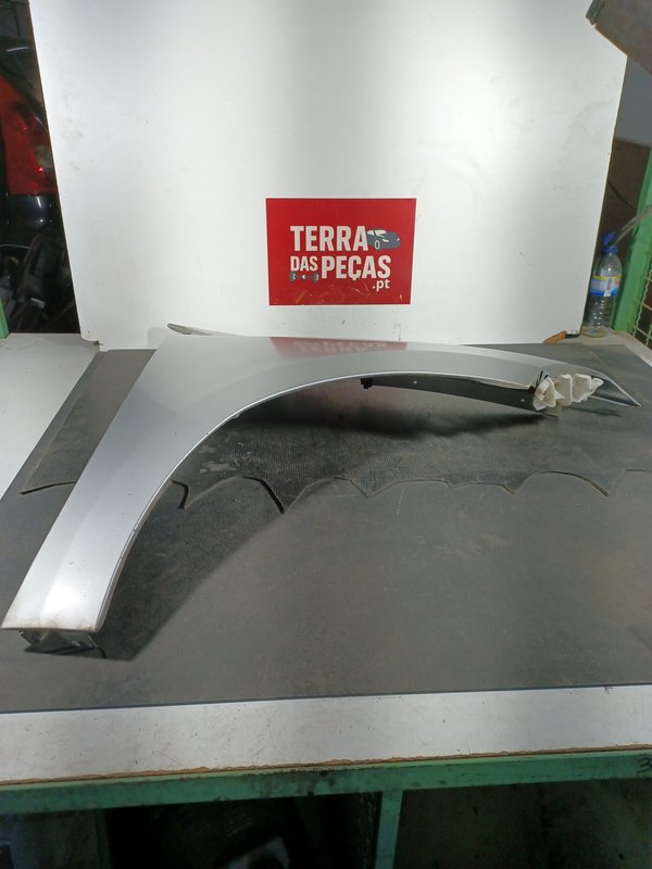 Guarda Lamas RENAULT MEGANE III FRENTE DIR 631120005R