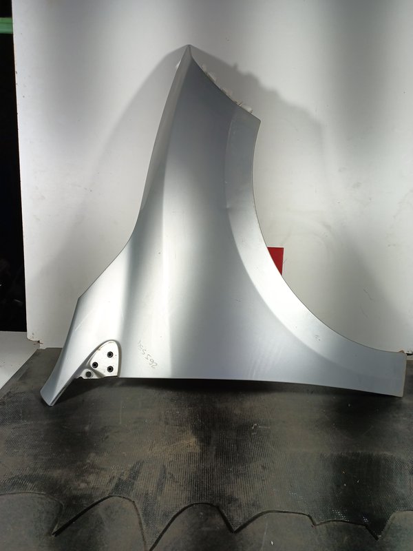 Guarda Lamas RENAULT MEGANE III FRENTE DIR 631120005R