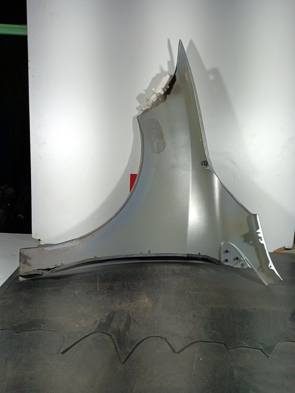 Guarda Lamas RENAULT MEGANE III FRENTE DIR 631120005R