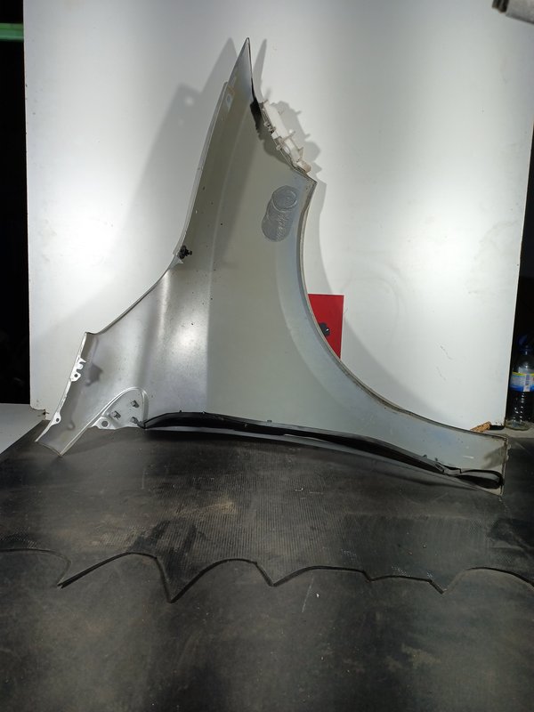 Guarda Lamas RENAULT MEGANE III ESQ 631130005R