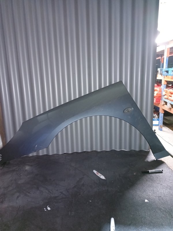 Guarda Lamas Peugeot 407 ESQUERDO Cinzento