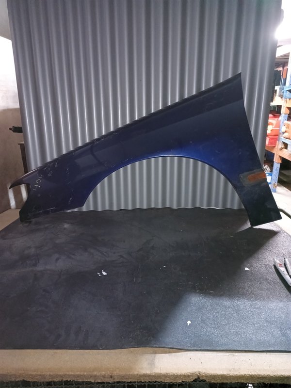 Guarda Lamas Peugeot 406 ESQUERDO Azul