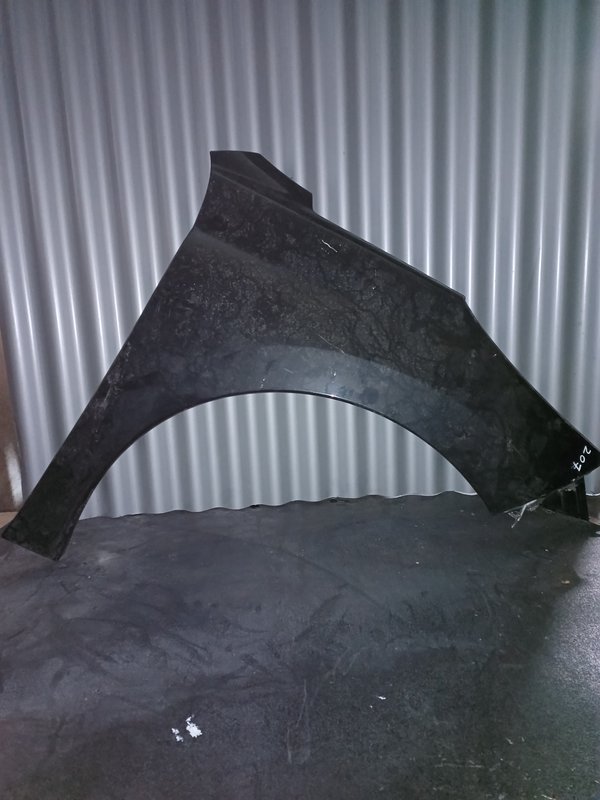 Guarda Lamas Peugeot 207 DIREITO Preto