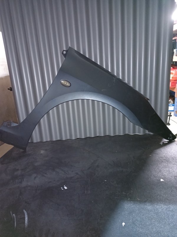 Guarda Lamas Peugeot 307 DIREITO Cinzento
