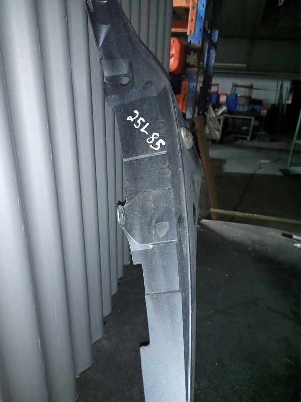 Guarda Lamas Peugeot 307 DIREITO Cinzento