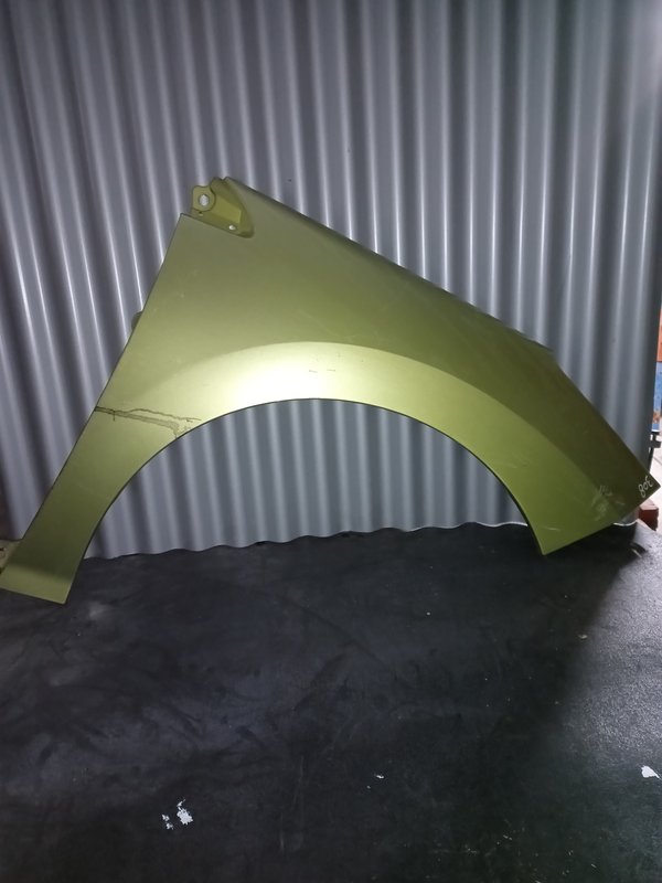 Guarda Lamas Peugeot 308 I DIREITO Verde Claro
