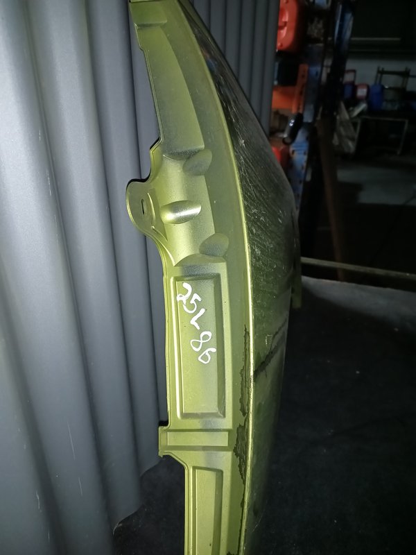 Guarda Lamas Peugeot 308 I DIREITO Verde Claro