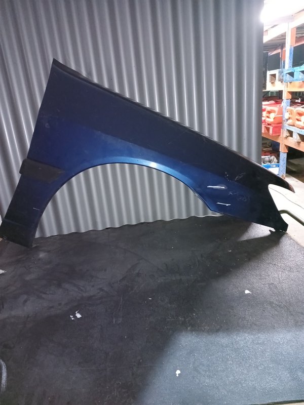 Guarda Lamas Peugeot 306 DIREITO Azul Escuro