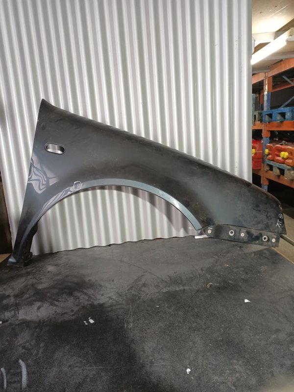 Guarda Lamas VW Golf IV DIREITO Cinzento