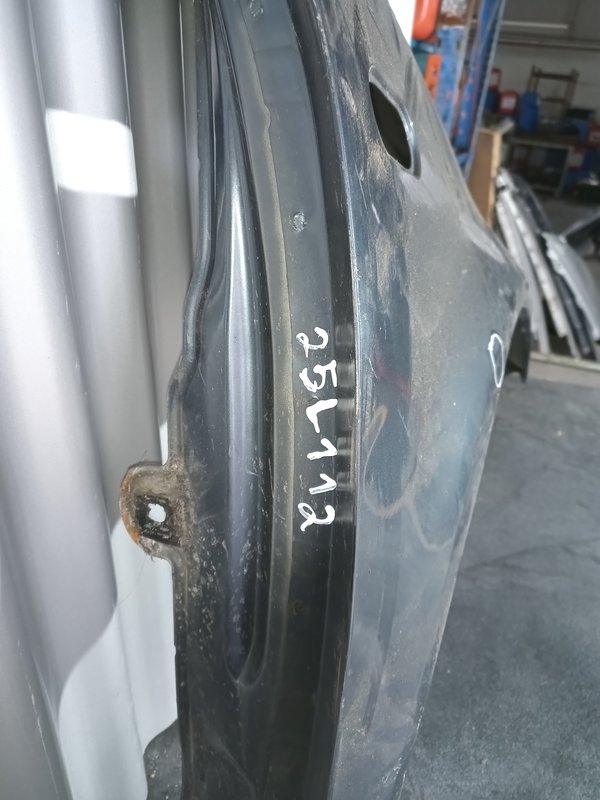 Guarda Lamas VW Golf IV DIREITO Cinzento