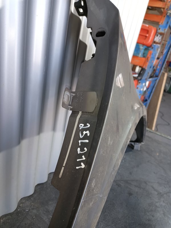 Guarda Lamas Renault Laguna II DIREITO Cinzento