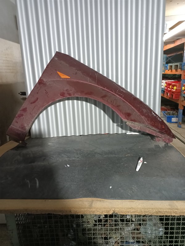 Guarda Lamas Ford Focus MK1 DIREITO Roxo