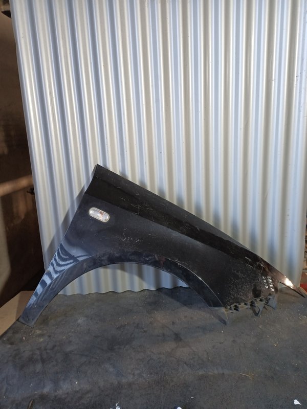 Guarda Lamas Seat Ibiza IV 6J DIREITO Preto