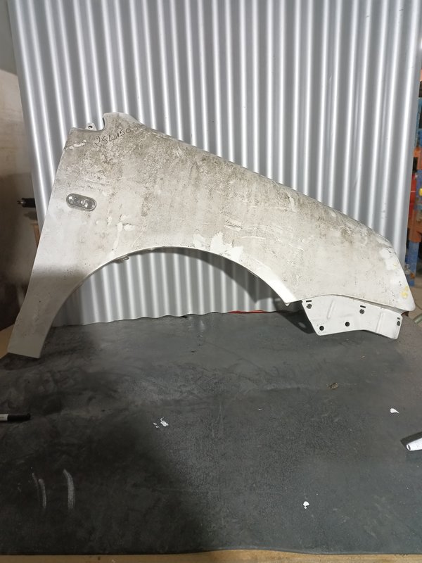 Guarda Lamas VW Polo 9N MK4 DIREITO Branco 9N2