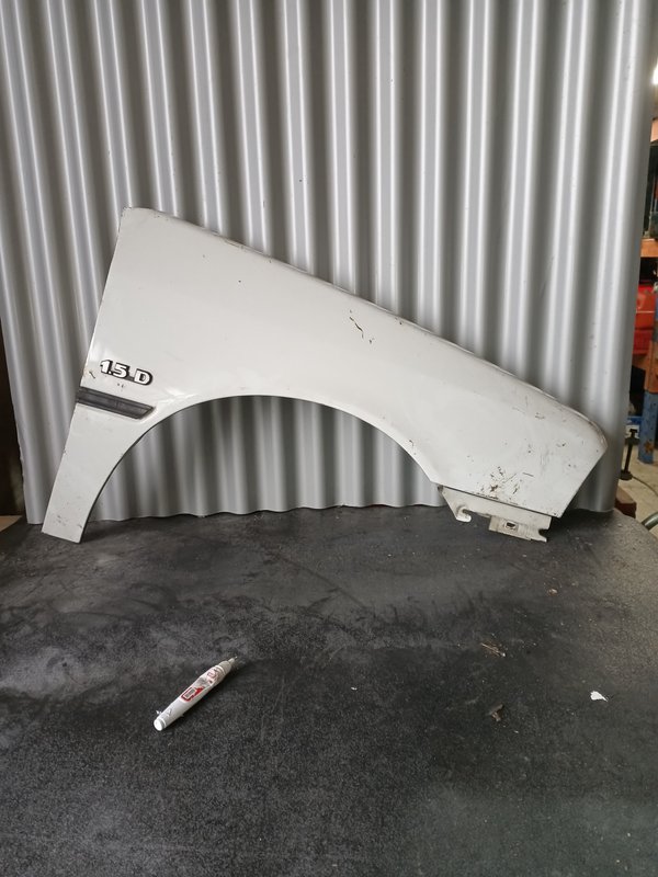 Guarda Lamas Citroen AX DIREITO Branco