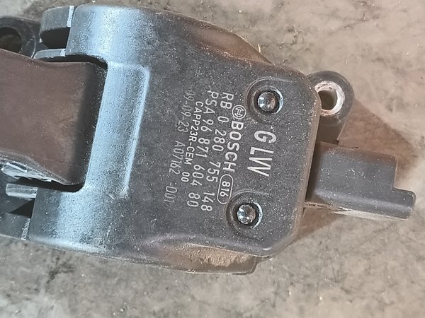 Pedal Acelerador Peugeot 206+ 9687160480