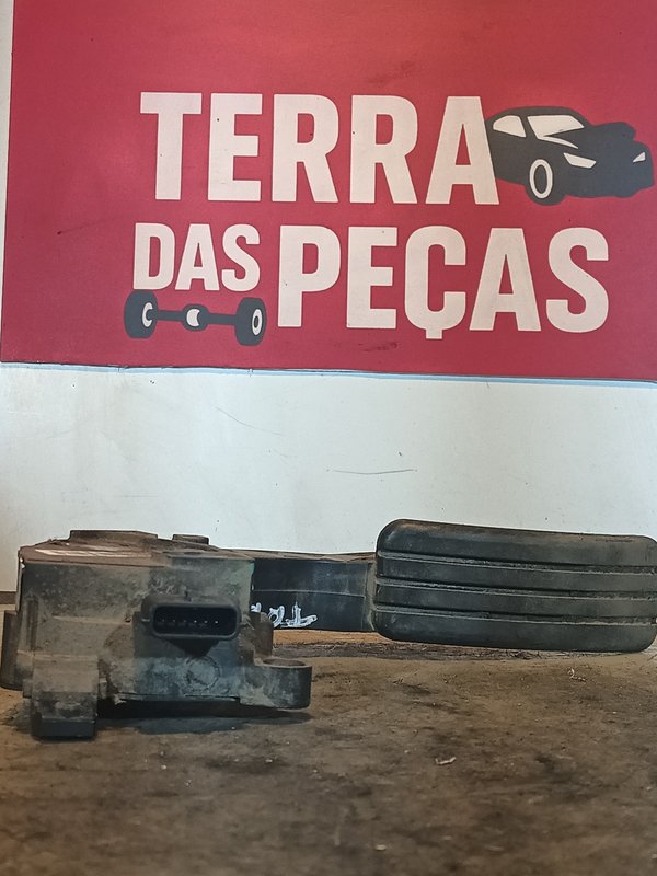 Pedal Acelerador RENAULT SCENIC III 180020024R