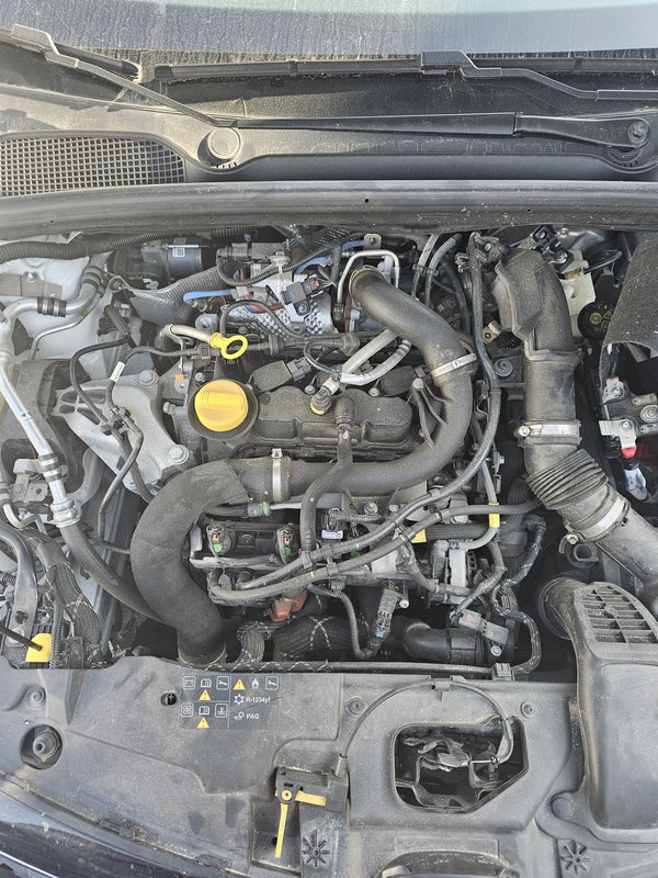 Motor Renault 1.0T Bi-fuel Renault Clio V H4D480