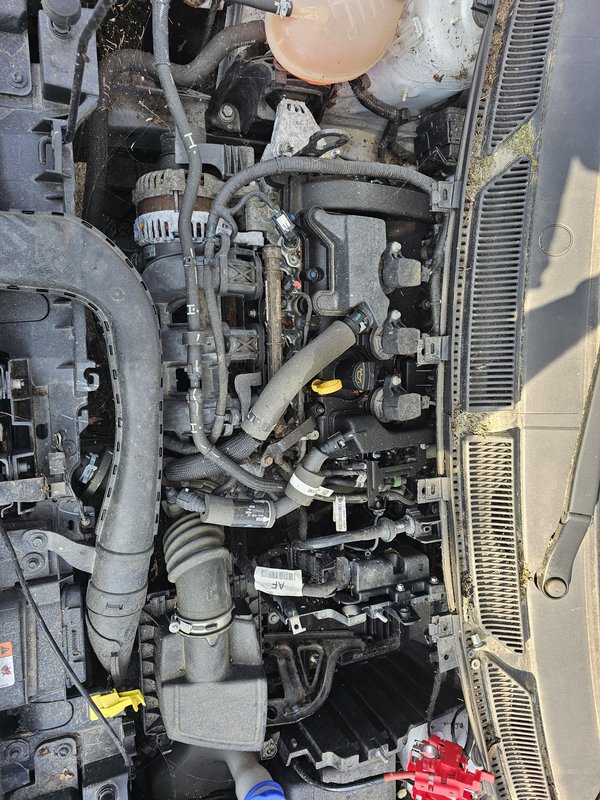 Motor 1.2i Ford KA+ APKE